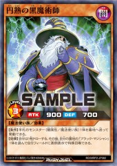 Mature Dark Magician