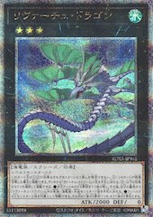 Levirtue Dragon