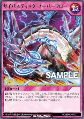 Cybernetic Overflow (RD)