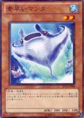 Nimble Manta