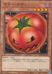 Mystic Tomato